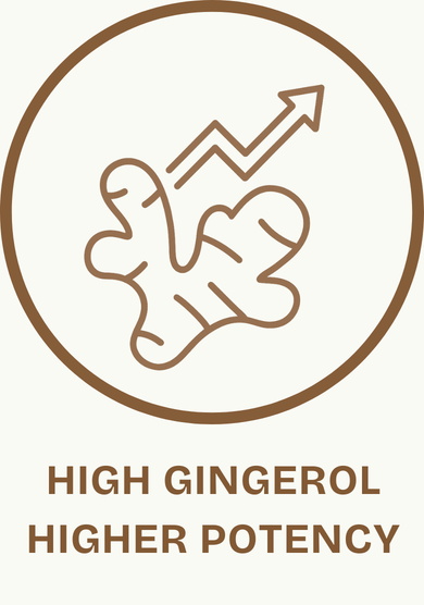 Product icon