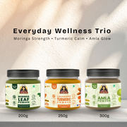 Everyday Wellness Trio | Moringa, Lakadong Turmeric & Amla