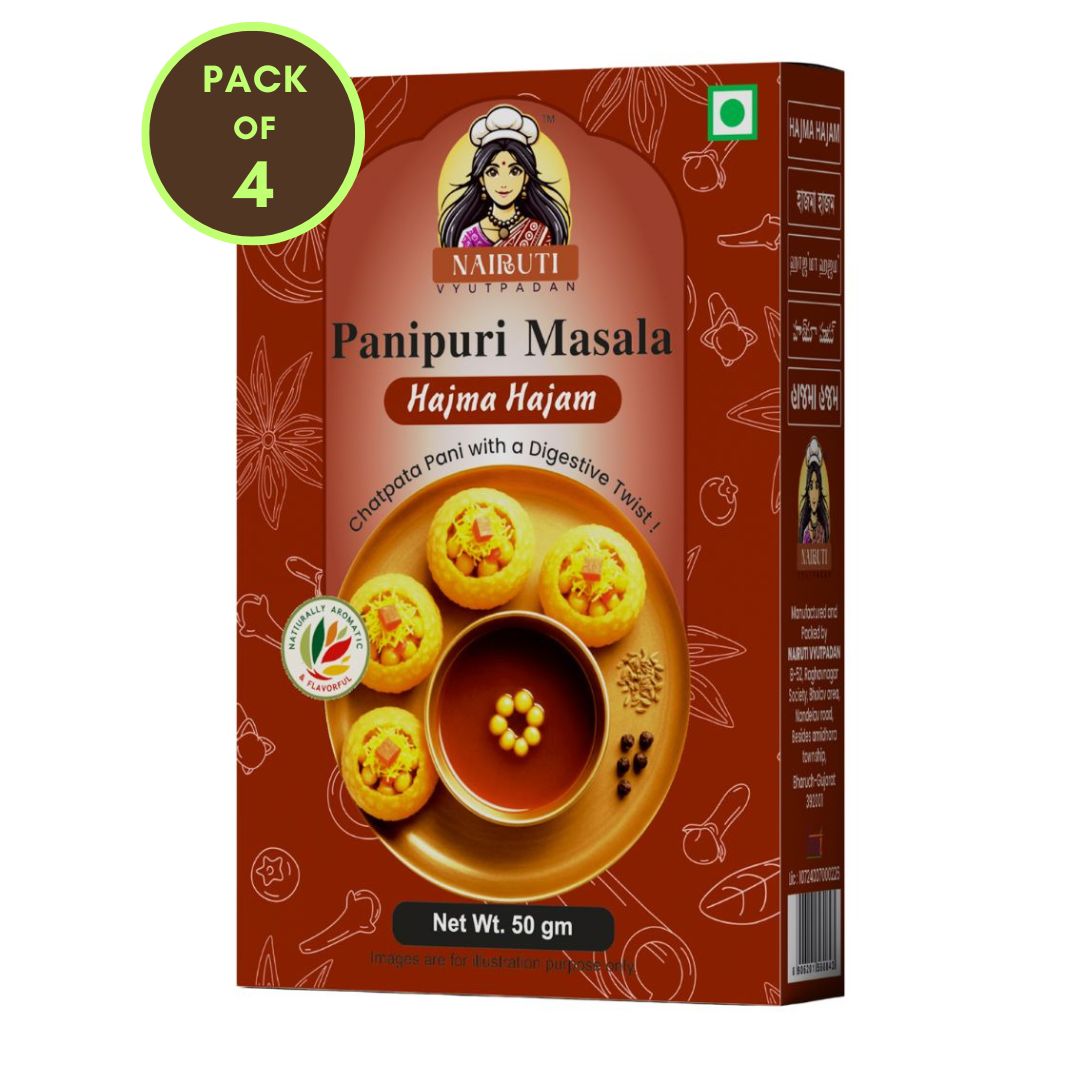 Panipuri Hajma Hajam Flavour Premix Powder