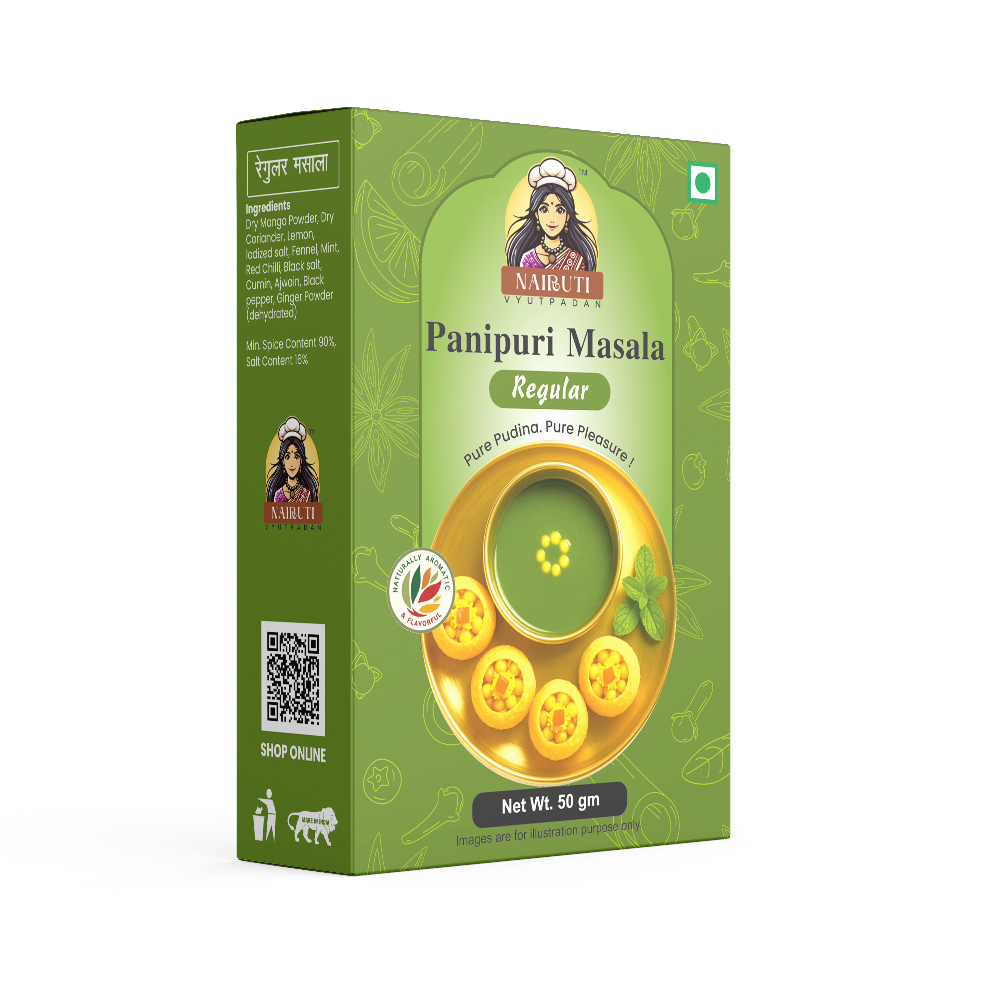 Panipuri Regular (Fudina) Flavour Premix Powder