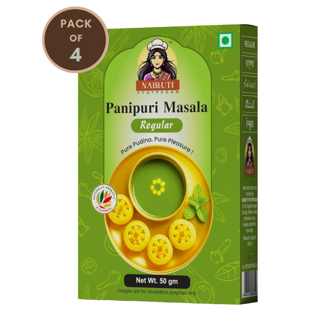 Panipuri Regular (Fudina) Flavour Premix Powder